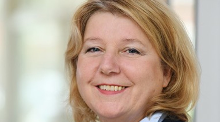 köln arbeitswelt koeln team gesund